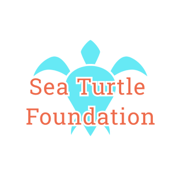 turtle project