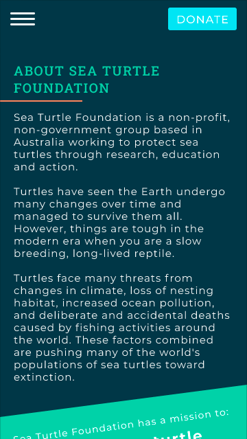 turtle page